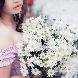 daisy flower portrait photography retouched freetoedit
