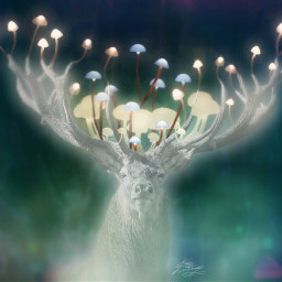 freetoedit light mushroom dream deer