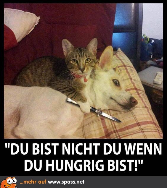 Snickers Und Der Hunger Ist Image By Timo Floren